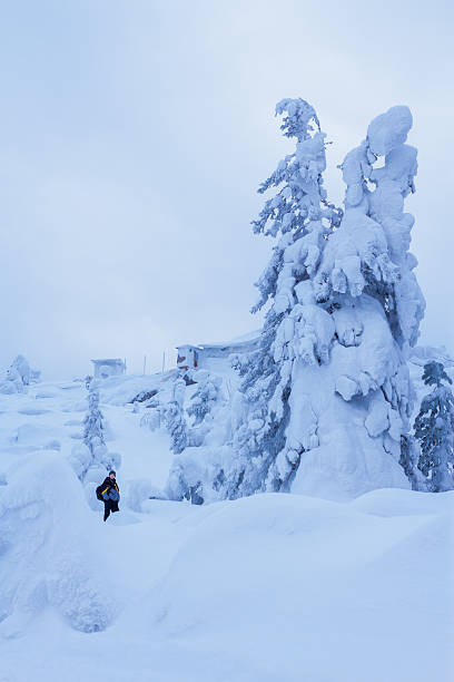 istock young man in a snowy forest 518552360