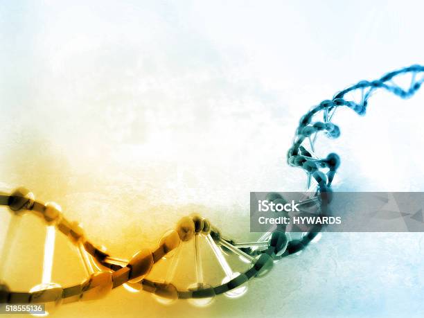 Digital Illustration Of Dna Stock Photo - Download Image Now - DNA, Biochemistry, Biology