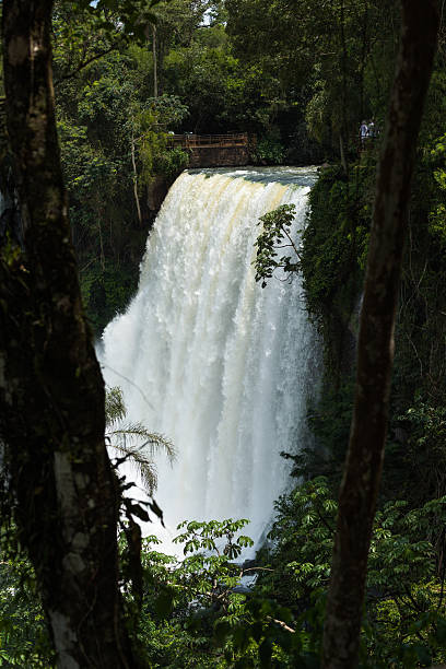 istock One of Iguazu waterfalls seen between trees 518556730