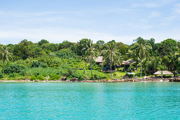 istock Palms and trees on the coast and sea 518557084