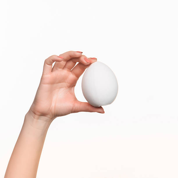 istock The female hand holding white blank styrofoam oval 518560324