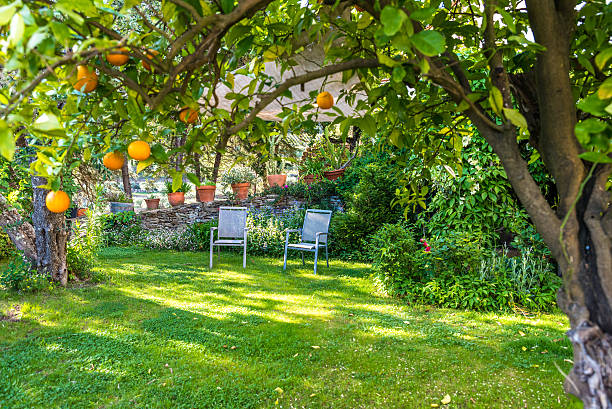relaxando em belo jardim com cadeiras - chair grass flower bed nobody - fotografias e filmes do acervo