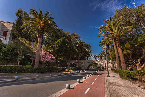 istock Palm tree Avenue, Kos island, Greece 518564154