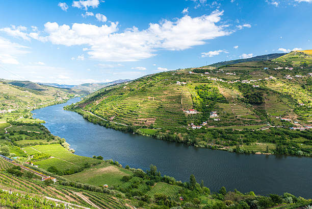 vignobles et les paysages de la région de la rivière douro au portugal - portugal port wine porto the douro photos et images de collection