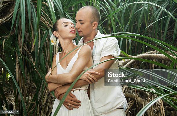 Love Story In Jungle Stock Photo - Download Image Now - Adult, Climate, Dancing