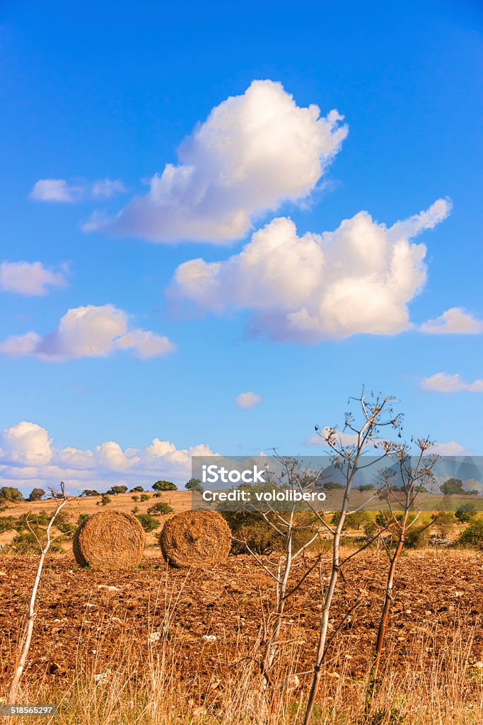 Paisagem RURAL AUTUMN.Alta Murgia National Park: Toldos de hay. (Apúlia) Itália. - Foto de stock de Agricultura royalty-free