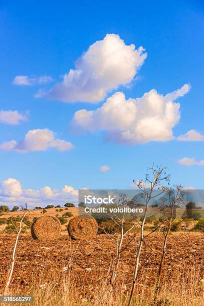 Foto de Paisagem Rural Autumnalta Murgia National Park Toldos De Hay Itália e mais fotos de stock de Agricultura