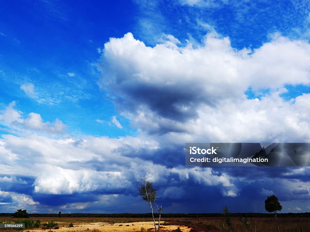 Dutch Landscape Landscape of de Veluwe, Netherlands Europe Stock Photo