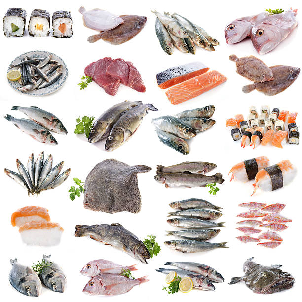 istock group of fishes 518567521