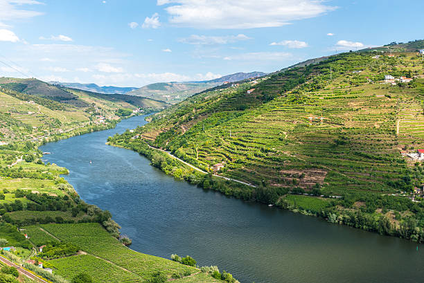 vignobles et les paysages de la région de la rivière douro au portugal - portugal port wine porto the douro photos et images de collection