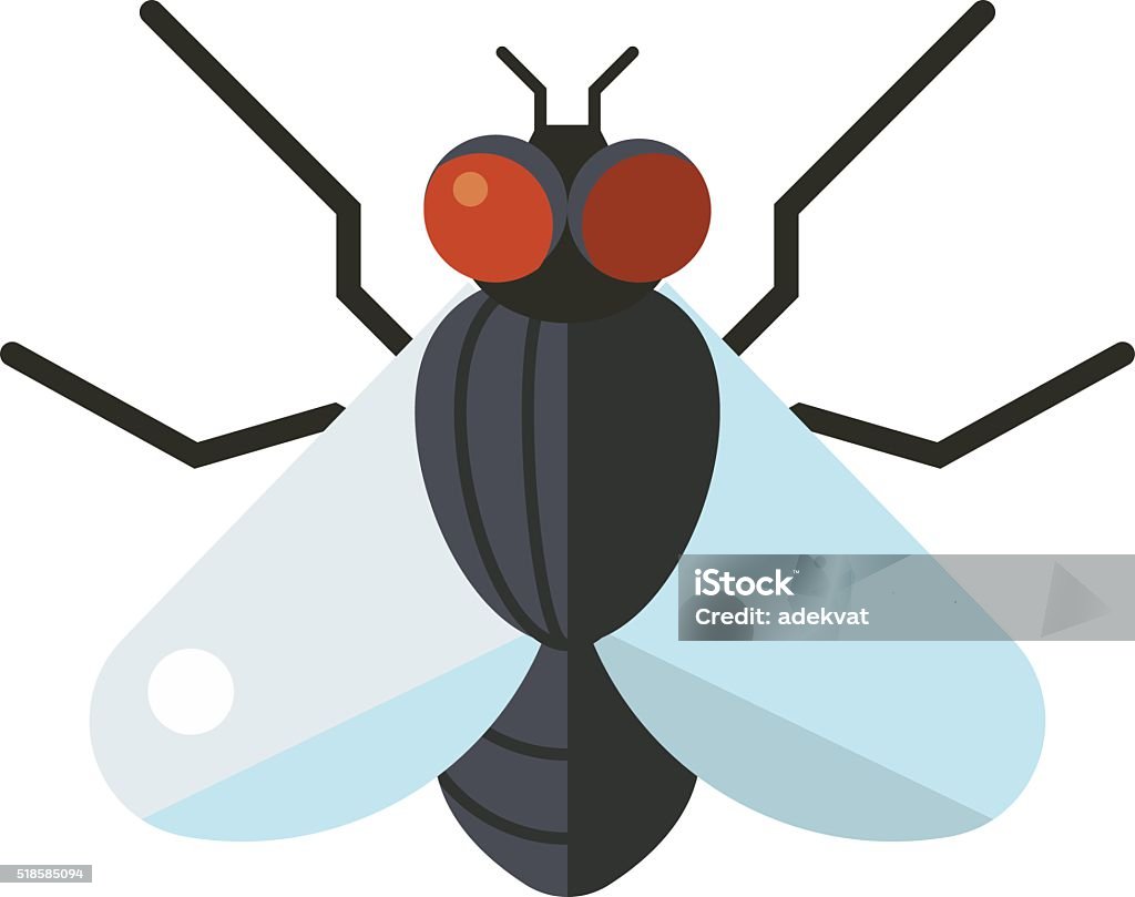 Bluebottle fly insect species calliphora vomitoria bug animal nature macro House fly insect and cartoon black fly insect. Insect hairy legs biology housefly. Bluebottle fly insect species calliphora vomitoria bug animal nature macro pest with big eyes hairy legs flat vector. Fly - Insect stock vector