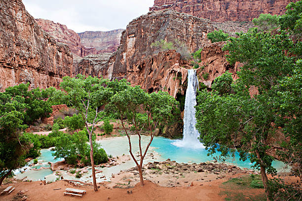 Havasupai Waterfalls The blue-green waters of Havasu Creek in Grand Canyon, Arizona havasu falls stock pictures, royalty-free photos & images