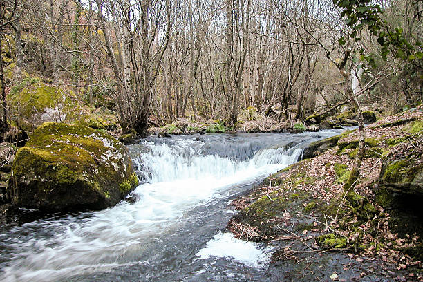 paesaggio - fernando lugo foto e immagini stock