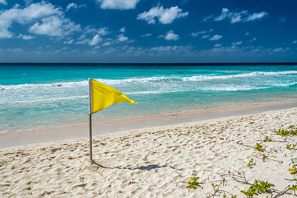 istock Lifeguards yellow caution flag placed on a beach in Barbados 518590521