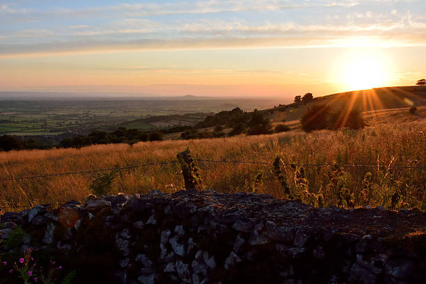 A peaceful rural landscape featuring tall golden grasses in the foreground and tree silhouettes in the distance, lit by the last rays of the setting sun. The sky fades from deep orange near the horizon to soft blue above, evoking calm and solitude. Perfect for themes of nature, agriculture, and seasonal transitions.