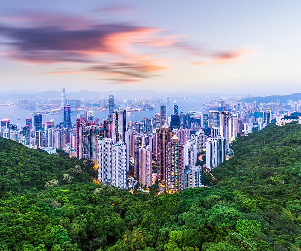 hong kong cityscape - victoria peak stock-fotos und bilder