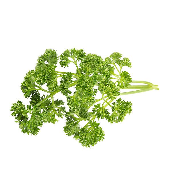 istock parsley isolated on a white background 518592360
