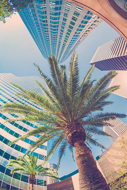 istock Downtown Los Angeles California 518593129