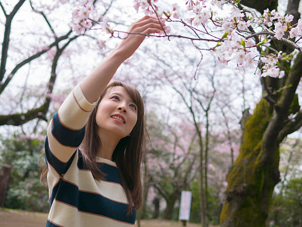istock Japanese woman in spring 518593764