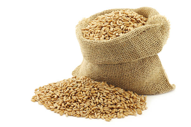 istock spelt in a burlap bag 518594515