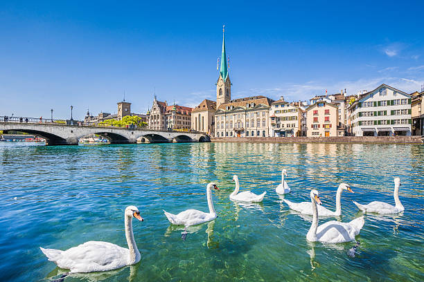 Historic city of Zurich with river Limmat, Switzerland Beautiful view of the historic city center of Zurich with famous Fraumunster Church and swans on river Limmat on a sunny day with blue sky, Canton of Zurich, Switzerland. zurich photos stock pictures, royalty-free photos & images