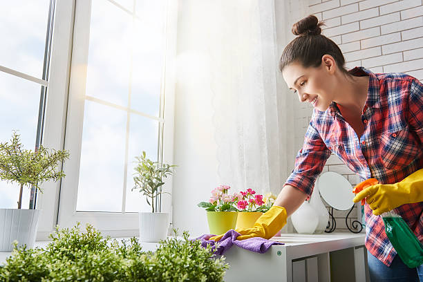 woman makes cleaning stock photo