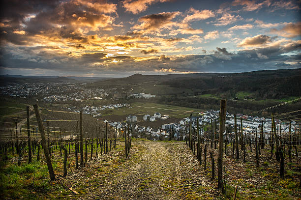 istock Vineyards in Ahrweiler 518594896