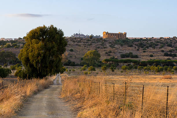 templo de concordia - greek culture agrigento landscape colonnade - fotografias e filmes do acervo