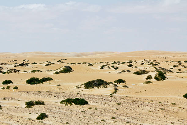 istock Landscape of Empty Quarter, Rub al Khali Desert, Oman 518597444
