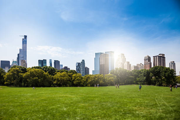 istock Central Park in New York 518598474