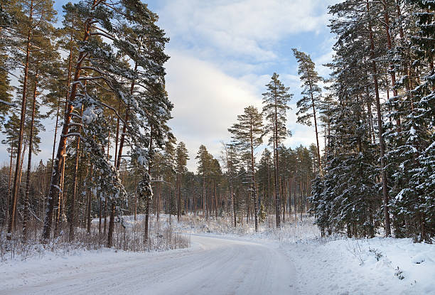 istock Contry road in a winter. 518599282