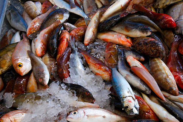 istock various fishes for sale 518599356