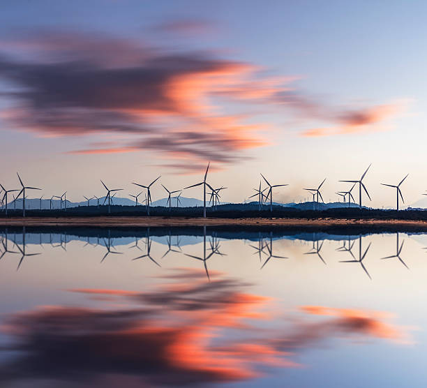 torri elettriche e turbine eoliche al tramonto - renewable energy power line electricity fuel and power generation foto e immagini stock