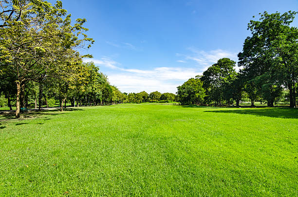 istock beautiful morning light in public park 518616142