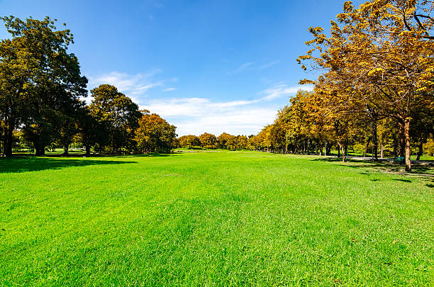 istock beautiful morning light in public park 518616266