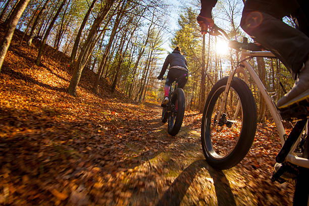 istock Mountain biking along a trail through the woods 518618468