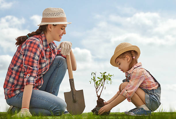 女の子 植物若木ツリー - planting tree human hand women ストックフォトと画像