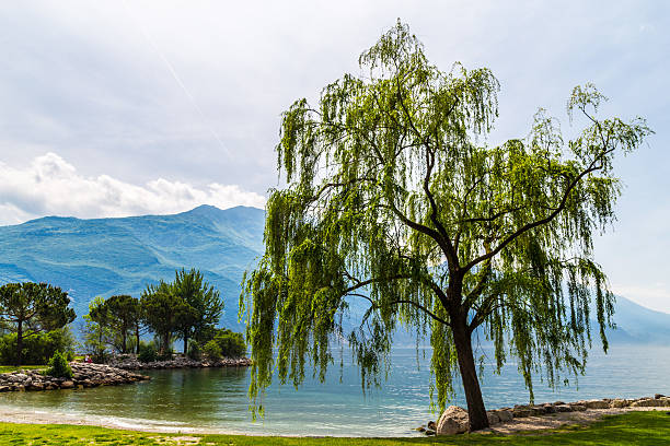 istock Lake of Garda, italy 518619256
