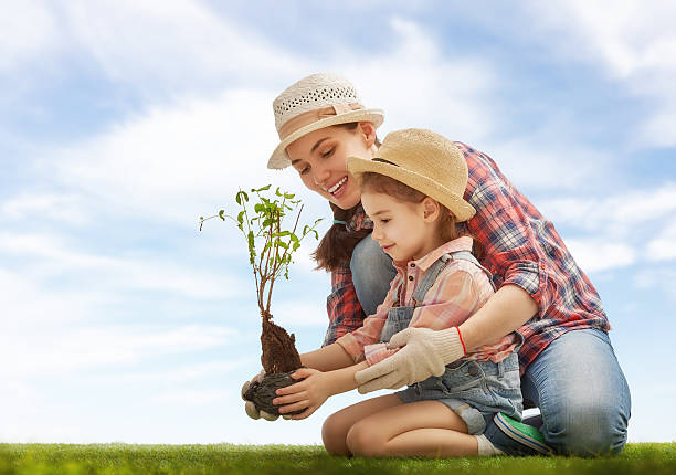 dziewczyna roślina sadzonka drzewa - planting tree human hand women zdjęcia i obrazy z banku zdjęć