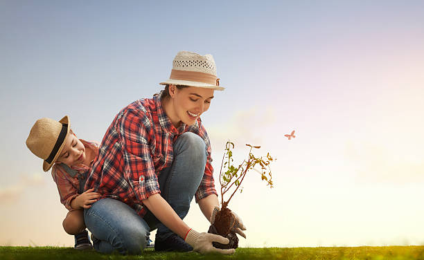 女の子 植物若木ツリー - planting tree human hand women ストックフォトと画像