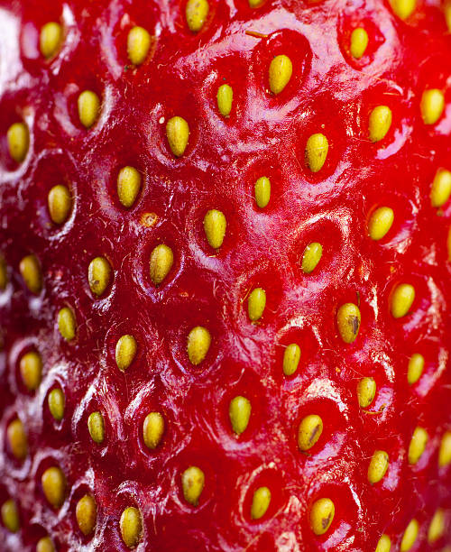 istock The texture of strawberries. 518621101