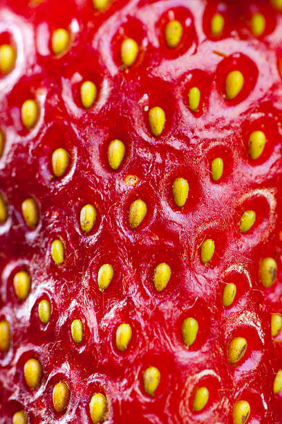 istock The texture of strawberries. 518621249