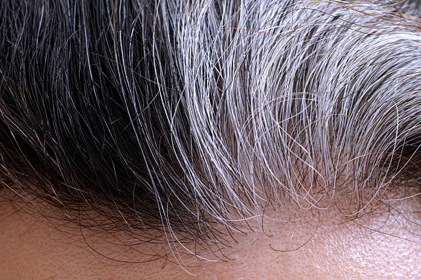 Going Gray Hair Stock Photo - Download Image Now - Gray Hair, Hair Dye,  Women - iStock