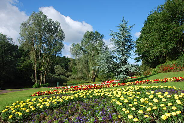istock Flowers and Trees in Park 518621851