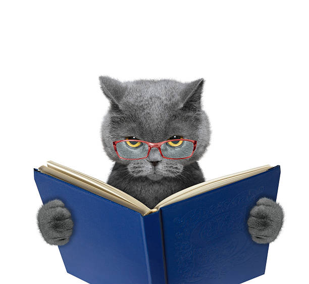 istock Evil cat in glasses is reading a book 518621894