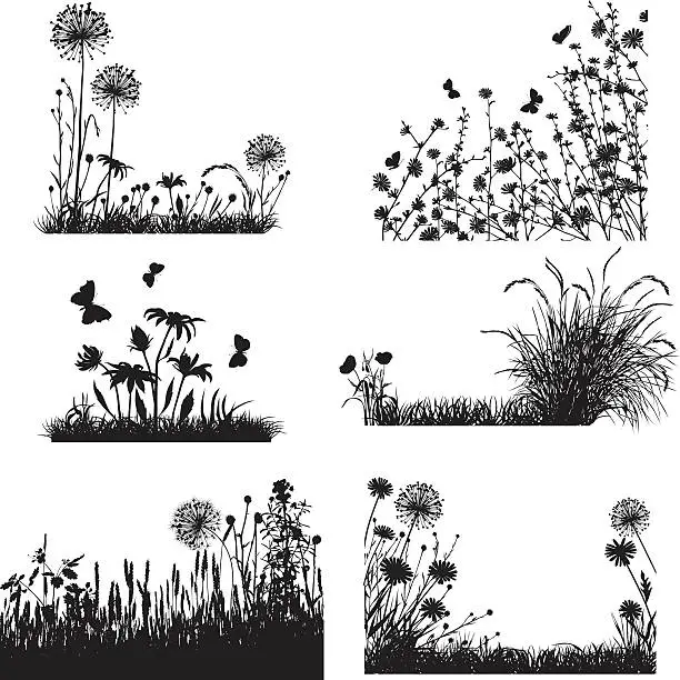 Vector illustration of Collection of meadow plants