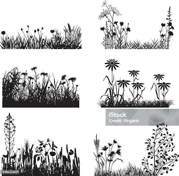 Ensemble De Plantes De Meadow Vecteurs libres de droits et plus d'images vectorielles de Silhouette - Contre-jour - Silhouette - Contre-jour, Fleur - Flore, Prairie