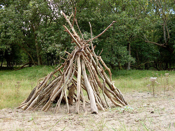 istock Hut in the dune area in Holland 518623237