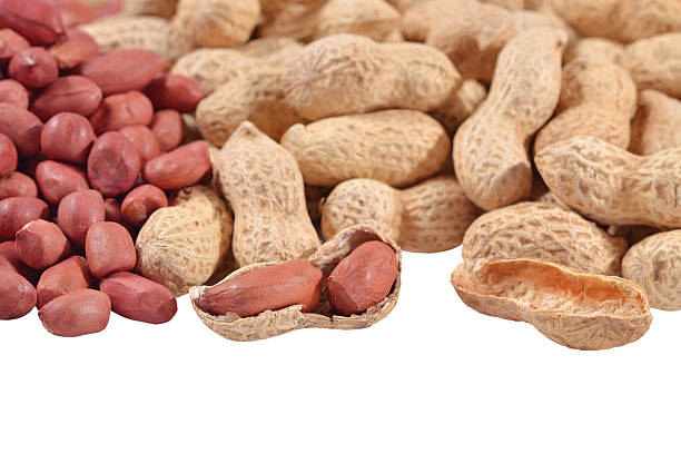 istock Heap of peanuts on a white 518624337