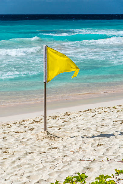 istock Lifeguards yellow caution flag on a beach in Barbados 518624487